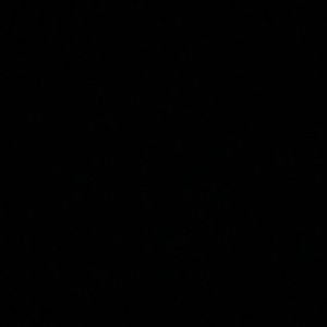 Meet your Posher, Mikenzie